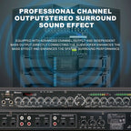 E5 Professional Digital Reverb Multi-Effects Dsp Processor Audio Processor Equalizer