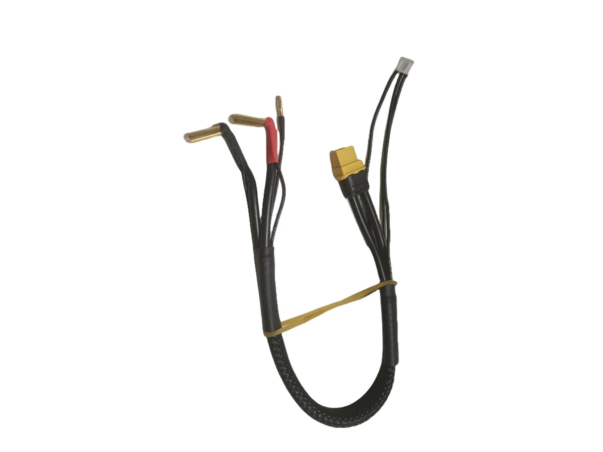 High Amps 2S RC Car Hardcase LiPo Battery XT60 Gold Plug Bullet Connector 5mm Pins 2mm 12awg 300mm JST-XH3P 22awg 360mm