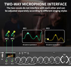 E5 Professional Digital Reverb Multi-Effects Dsp Processor Audio Processor Equalizer