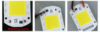 COB LED Lamp Chip AC 220V LED Bulb 10W 20W 30W 50W IP65 High Power Smart IC DIY Flood light Bulb Spotlight Outdoor Chip Lamp