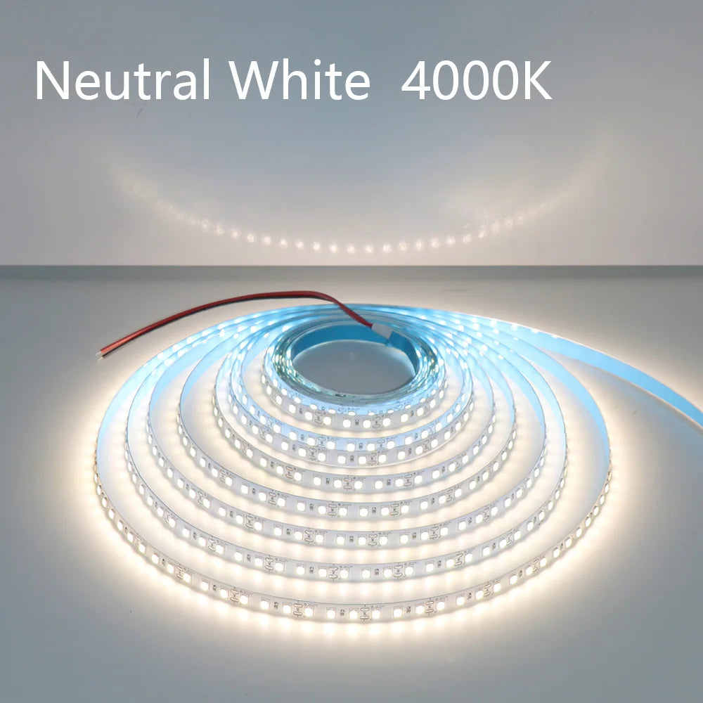 5M 600LEDs LED Strip 2835 DC12V 24V 120LEDs/m Home Lamp Strip Red Ice Blue Green Yellow Pink Flexible And Cuttable Soft Lamp Bar