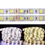 LED Strip 5050 RGB CCT RGBCCT RGB White Lights 12V 24V Waterproof 5M 300LED Blue Warm White LED Tape Lights Flexible
