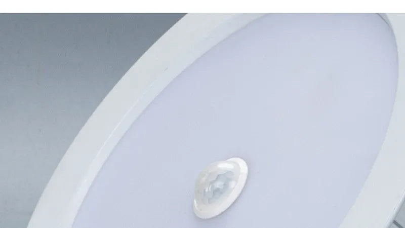 LED Downlight Smart Infrared Induction LED Ceiling Spot light 3W 5W 9W 18W 20W 220V Motion Sensor Recessed Round LED Panel Light