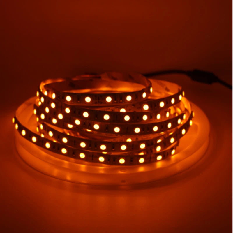 True Orange LED Strip Light 600nm, 5050/3528 SMD, 12V Non-Waterproof/Waterproof, Black LED Tape Rope Lights