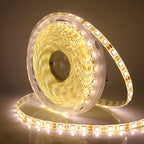 LED Strip 5050 RGB CCT RGBCCT RGB White Lights 12V 24V Waterproof 5M 300LED Blue Warm White LED Tape Lights Flexible