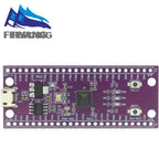 W806 Microcontroller 240MHZ 5-8Bit STM32 Development Board CH340 IoT MCU Chip CDK Development Environment Low Power IOT