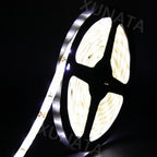 12V 24V LED Strip SMD 2835 Flexible LED Tape 5M 120 240 480Leds/m Waterproof Ribbon Diode Room Decor Warm Natural Cool White