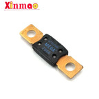 0298 40A 50A 60A 80A 100A 125A 175A 150A 200A 250A 300A 400A MEGA Fuse Auto Fuse Car Boat Motorcycle Blade Fuses For Littelfuse
