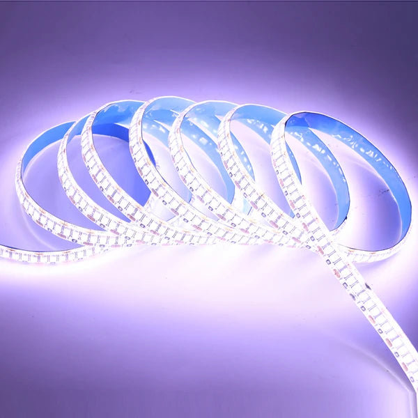 12V 5m SMD 2835 2025 LED Strip Light DC 480 240 120 LEDs Tape Flexible LED Lights Indoor Lingting for Home Waterproof IP65 IP67