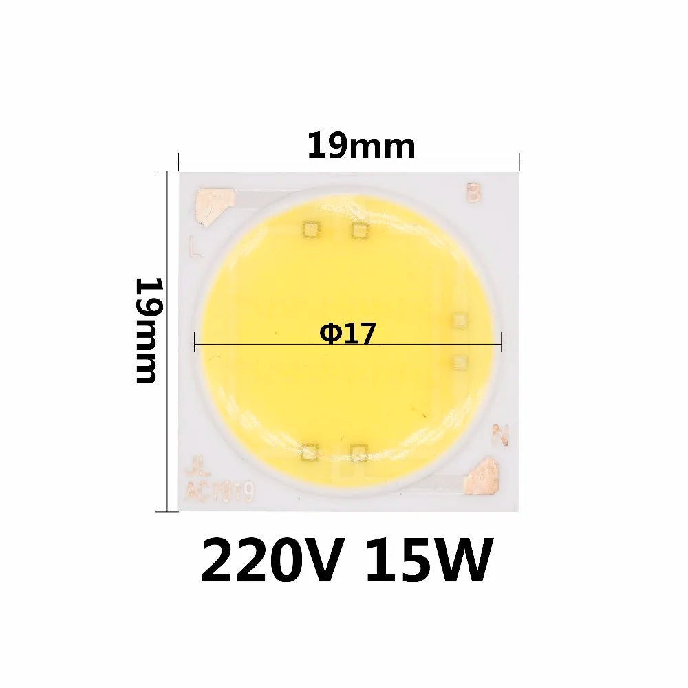 AC220V 10W 15W 20W New Ceramics COB LED Bulbs Chip Lamp Smart IC Good Quality Chip For Outdoor FloodLight DIY Warm White