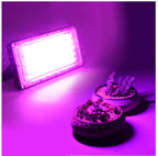 50W LED Chip AC 220V LED Floodlight SMD 2835 LED Lamp Beads Spotlight For Flood Light Street Lamp Outdoor Lighting Chip Diode