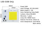 COB LED Lamp Chip AC 220V LED Bulb 10W 20W 30W 50W IP65 High Power Smart IC DIY Flood light Bulb Spotlight Outdoor Chip Lamp