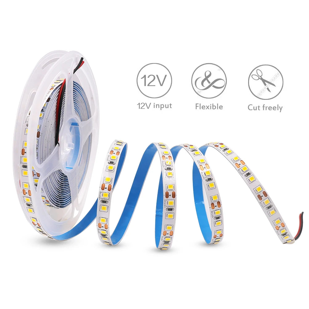 5M LED Strip Light DC 12V 24V 2835 Flexible Ribbon Diode Light 60/120/240/480 LED Stripe Warm Natural Cold White Luces Led Tape