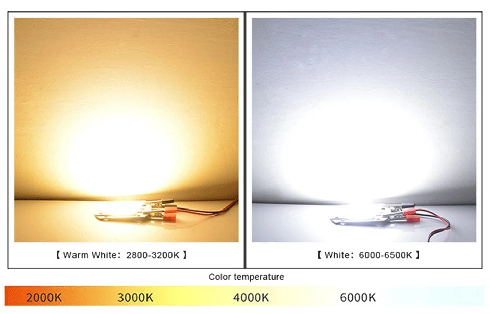 COB LED Lamp Chip AC 220V LED Bulb 10W 20W 30W 50W IP65 High Power Smart IC DIY Flood light Bulb Spotlight Outdoor Chip Lamp