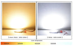 COB LED Lamp Chip AC 220V LED Bulb 10W 20W 30W 50W IP65 High Power Smart IC DIY Flood light Bulb Spotlight Outdoor Chip Lamp