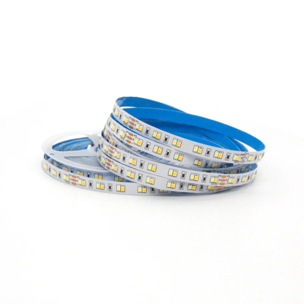 1m 5m 10m 3528 2835 CW/WW Dual White Color Temperature Adjustable CCT 24V Double Color LED Flexible Strip 120leds/m Tape Light