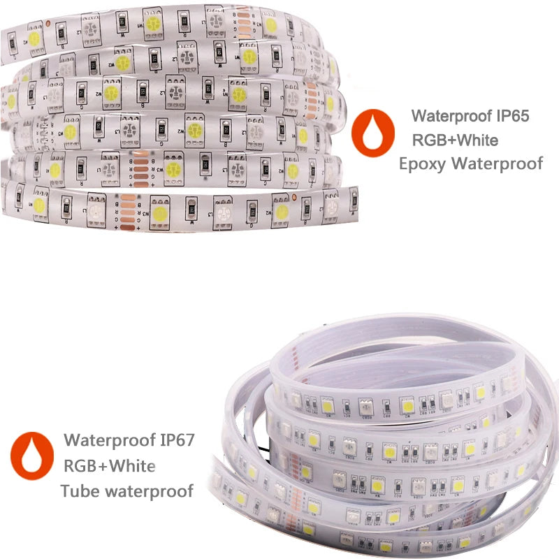 LED Strip 5050 RGB CCT RGBCCT RGB White Lights 12V 24V Waterproof 5M 300LED Blue Warm White LED Tape Lights Flexible
