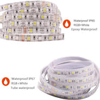 LED Strip 5050 RGB CCT RGBCCT RGB White Lights 12V 24V Waterproof 5M 300LED Blue Warm White LED Tape Lights Flexible
