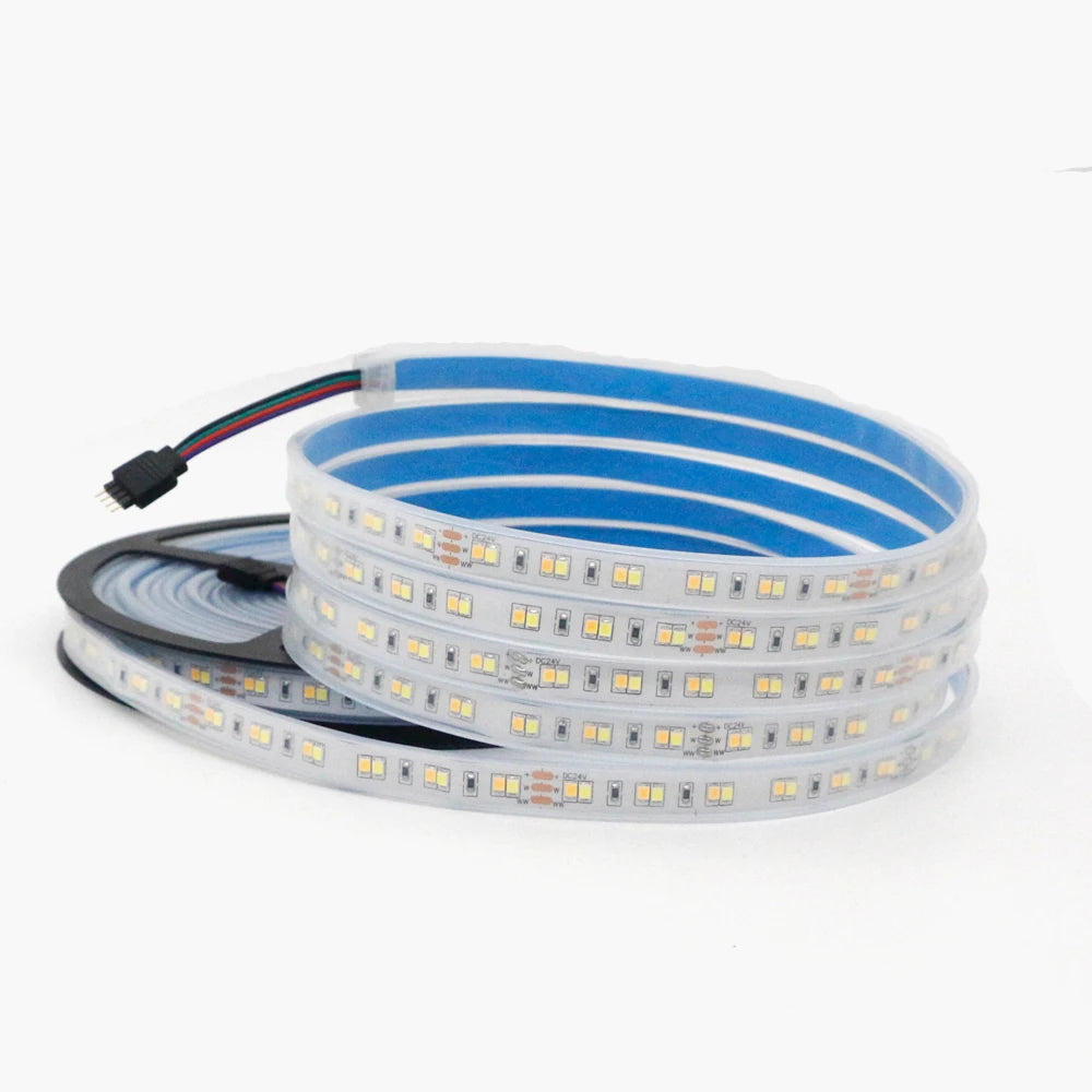 1m 5m 10m 3528 2835 CW/WW Dual White Color Temperature Adjustable CCT 24V Double Color LED Flexible Strip 120leds/m Tape Light