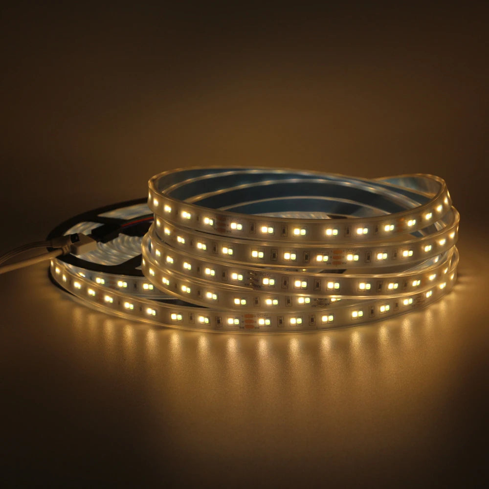 1m 5m 10m 3528 2835 CW/WW Dual White Color Temperature Adjustable CCT 24V Double Color LED Flexible Strip 120leds/m Tape Light