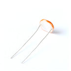 100Pcs/10pcs 5516 Light Sensitive Resistor 5mm Photoresistor Photoelectric Switch Element Photo Detector Dependent LDR GL5516