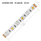5m 5050 RGBW Led Lights 4pin RGB Led Strip 5pin 4in1 RGBWW RGBCW Led Strip Light 6pin 5in1 RGBCCT Light Strip 12V 24V Waterproof