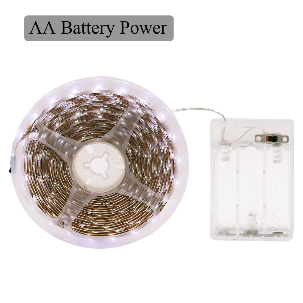 5V USB LED Strip Light Battery Power SMD 2835 3528 60LED 1m 2m 5m White Warm Red Blue Green Ribbon Cabinet Lights Night DC5V