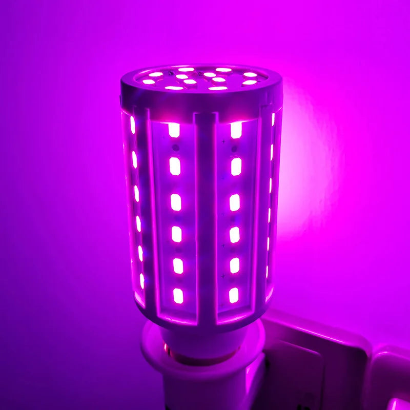 5W 10W 15W 20W E27 LED Bulb SMD5730 Corn Bulb Lamps Red Yellow Bule Pink Green Garden Lawn Landscape Decorative Light Bulbs