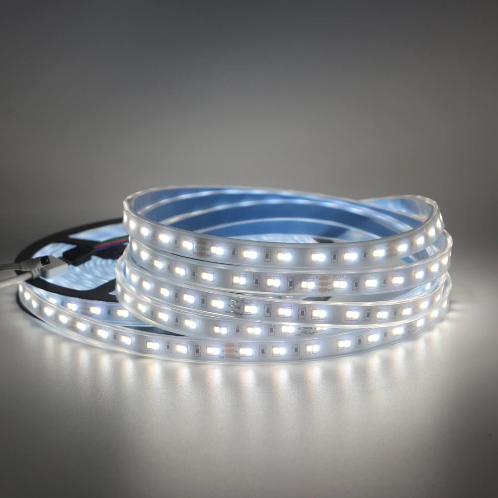 1m 5m 10m 3528 2835 CW/WW Dual White Color Temperature Adjustable CCT 24V Double Color LED Flexible Strip 120leds/m Tape Light