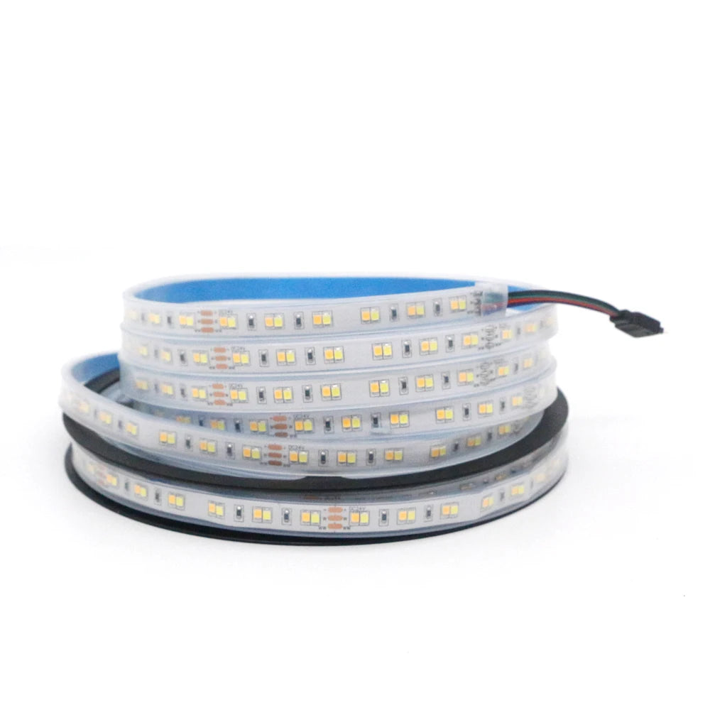 1m 5m 10m 3528 2835 CW/WW Dual White Color Temperature Adjustable CCT 24V Double Color LED Flexible Strip 120leds/m Tape Light
