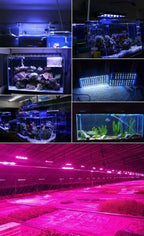 1W 3W 5W 10W 20W 30W 50W 100W Grow LED Light Chip COB Full Spectrum 380-840nm For Indoor Vegetables Plant Aquarium Growth