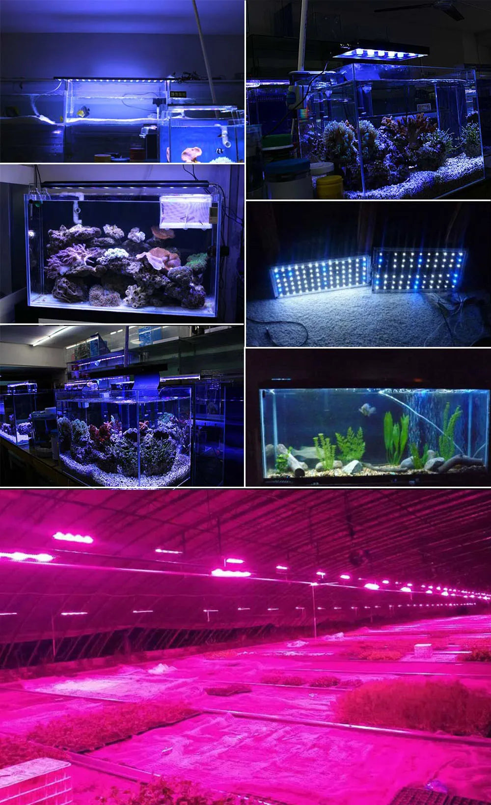 1W 3W 5W 10W 20W 30W 50W 100W Grow LED Light Chip COB Full Spectrum 380-840nm For Indoor Vegetables Plant Aquarium Growth