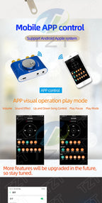 Bluetooth 5.0 10W/15W/20W Stereo Power Amplifier Board Mobile Control APP 12V/24V High Power Digital Amplifier Module DC8-24V