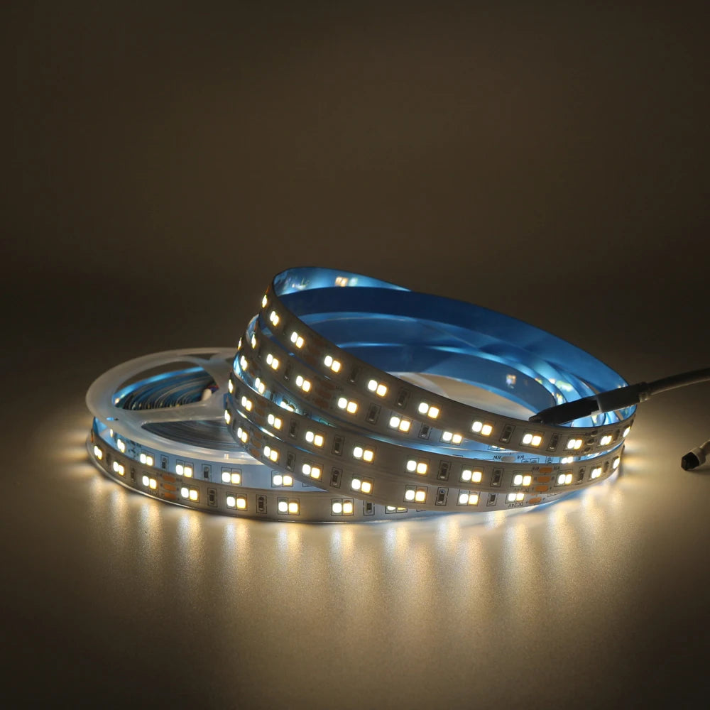 1m 5m 10m 3528 2835 CW/WW Dual White Color Temperature Adjustable CCT 24V Double Color LED Flexible Strip 120leds/m Tape Light