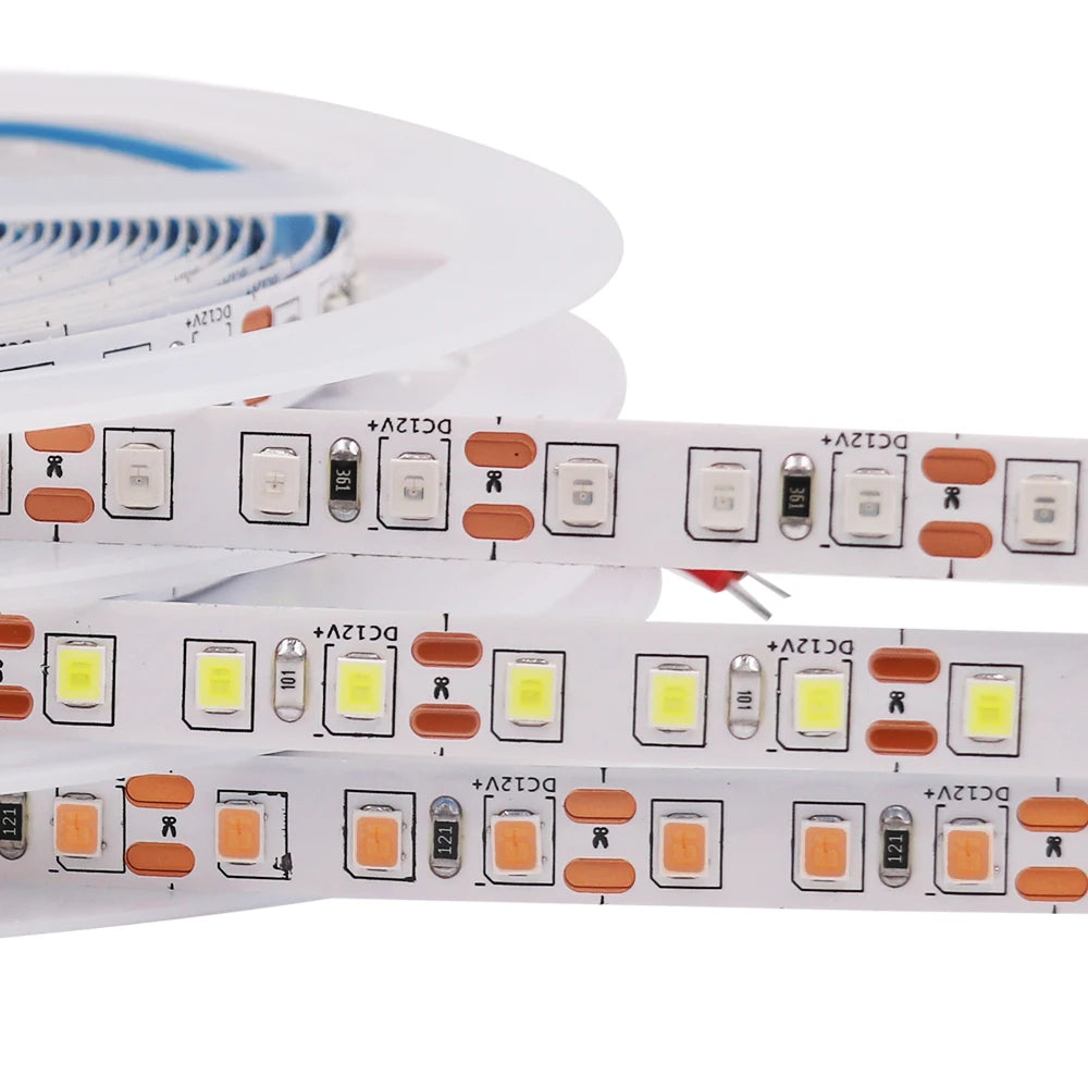 5M LED Strip Light DC 12V 24V 2835 Flexible Ribbon Diode Light 60/120/240/480 LED Stripe Warm Natural Cold White Luces Led Tape
