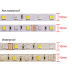 LED Strip 5050 RGB CCT RGBCCT RGB White Lights 12V 24V Waterproof 5M 300LED Blue Warm White LED Tape Lights Flexible