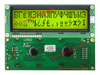 Big Large 16x2 1602 Russian Cyrillic Font Character  LCD Display STN Blue Cmpatible WH1602L-TMI-CT free ship