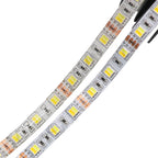 LED Strip 5050 RGB CCT RGBCCT RGB White Lights 12V 24V Waterproof 5M 300LED Blue Warm White LED Tape Lights Flexible