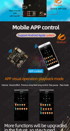 Bluetooth Audio Receiver board Bluetooth 4.1 BT5.0 Pro XY-WRBT MP3 Lossless Decoder Board Wireless Stereo Music Module With Case