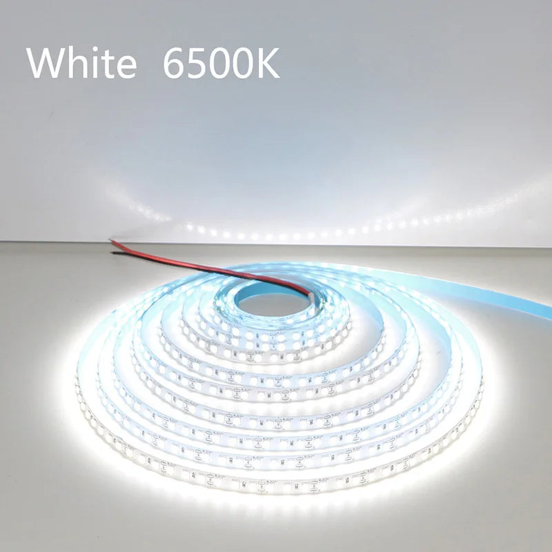 5M 600LEDs LED Strip 2835 DC12V 24V 120LEDs/m Home Lamp Strip Red Ice Blue Green Yellow Pink Flexible And Cuttable Soft Lamp Bar