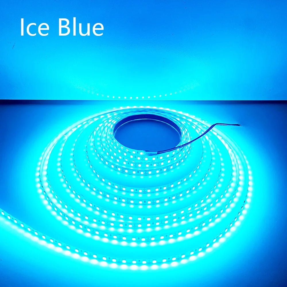 5M 600LEDs LED Strip 2835 DC12V 24V 120LEDs/m Home Lamp Strip Red Ice Blue Green Yellow Pink Flexible And Cuttable Soft Lamp Bar