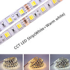 5M 5050 SMD LED Strip RGB RGBW (RGB + White) RGBWW (RGB+Warm White) RGBCCT Flexible LED String Light 5M/ 300 LEDs 12V 24V Home