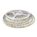 LED Strip 5050 DC 12V 24V RGB Warm White 5 Meter Waterproof Flexible Light Stripe 60LED/MLed Tape Luces Lamp Ribbon Tv Backlight