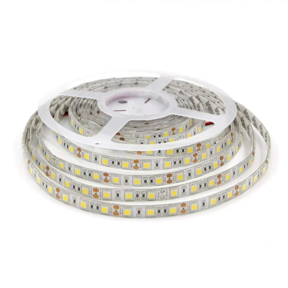 LED Strip 5050 DC 12V 24V RGB Warm White 5 Meter Waterproof Flexible Light Stripe 60LED/MLed Tape Luces Lamp Ribbon Tv Backlight