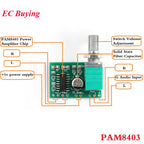 5Pcs/1pc PAM8403 Amplifier Board Mini 5V 8403 Digital Power Audio Amp Module 2 Channel 3W Volume Control USB Power Supply