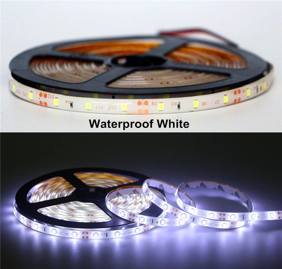 5M/Pack SMD 2835 / 3528 60Leds/m 120Leds/m DC 12V 300LEDs 600LEDs IP20 / IP65 Waterproof White / Warm White LED Strip Light