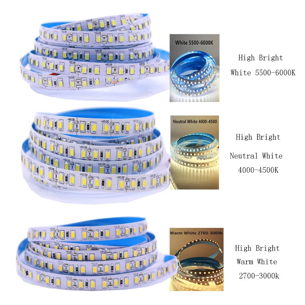5V 12V 24V 5M 2835 3528 SMD 120leds/m 600Leds/5m 4000K neuttral White Warm White Flexible LED Strip Tape lighting Not-Waterproof
