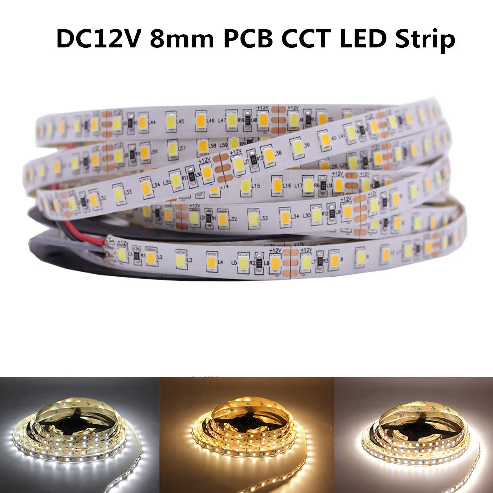 5M 3528 2835 CW/WW Dual White Color Temperature Adjustable CCT 12V 24V Double Color LED Flexible Strip 120leds/m Tape Light