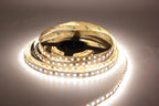 5M 3528 2835 CW/WW Dual White Color Temperature Adjustable CCT 12V 24V Double Color LED Flexible Strip 120leds/m Tape Light