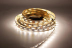 5M 3528 2835 CW/WW Dual White Color Temperature Adjustable CCT 12V 24V Double Color LED Flexible Strip 120leds/m Tape Light